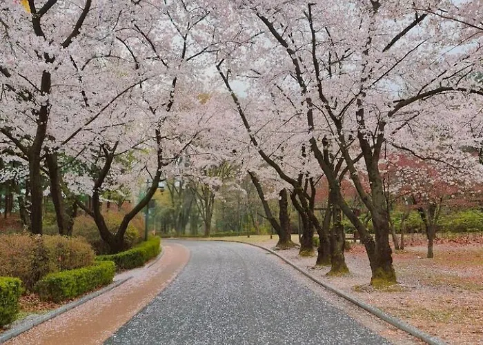 Park Avenue * ソウル特別市